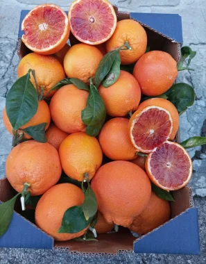 Oranges sanguines provenant d'Italie - Lisle Adam (95), Sartrouville et Maison-Laffitte (78)