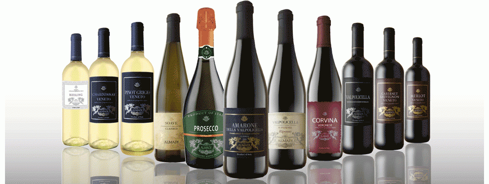 Vins