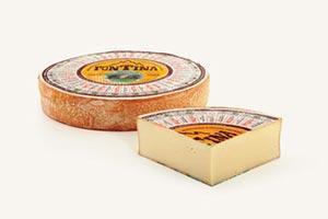Fontina (vache)