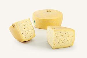 Asiago (vache)